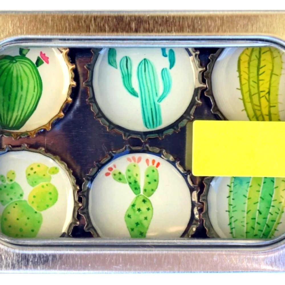 Cactus Magnet Set